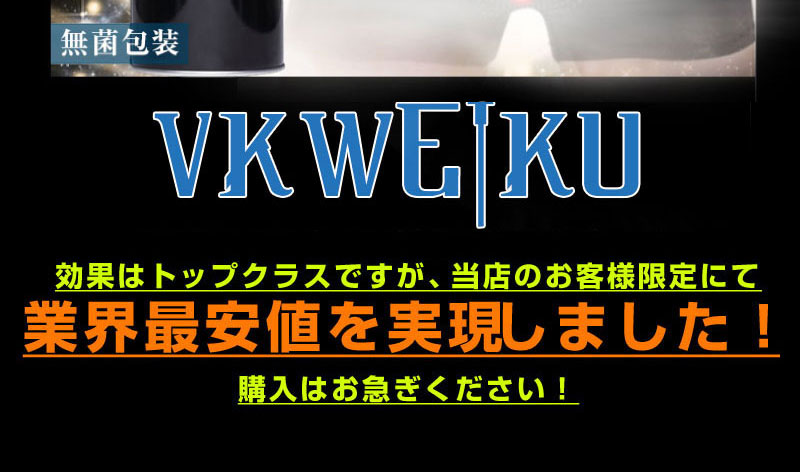 VKWEIKU傳pc 